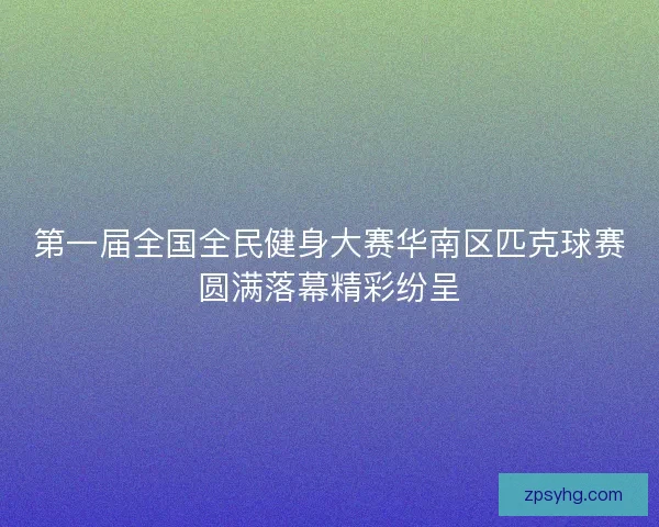 第一届全国全民健身大赛华南区匹克球赛圆满落幕精彩纷呈