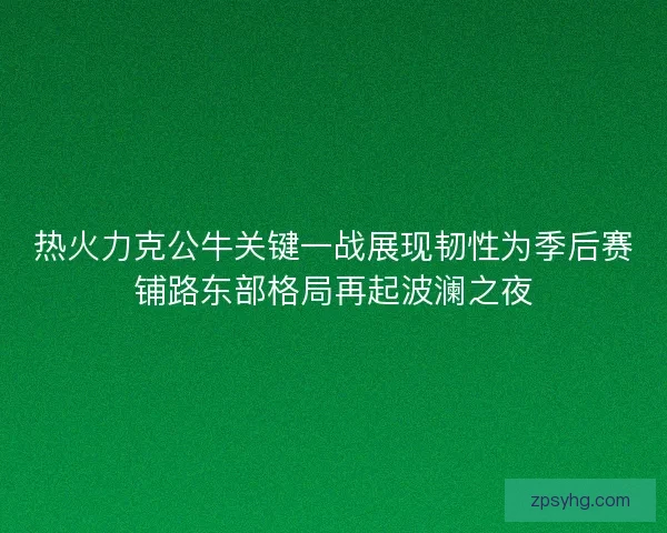 热火力克公牛关键一战展现韧性为季后赛铺路东部格局再起波澜之夜